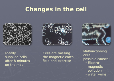 cell-before-after