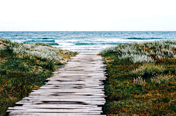Follow The Path
